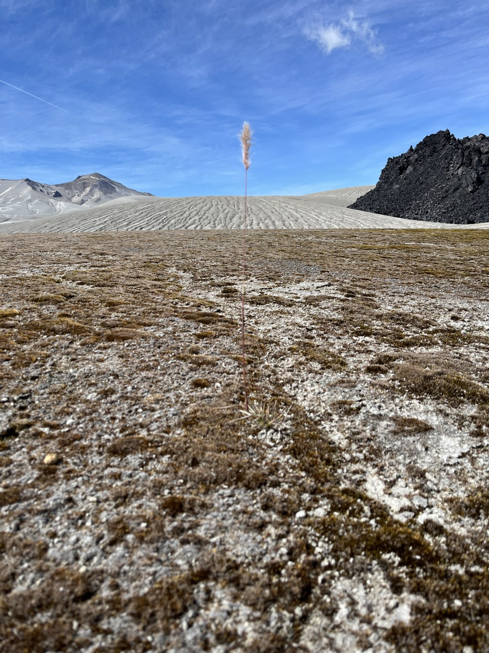 Steaming volcanic field at Cordón Caulle
