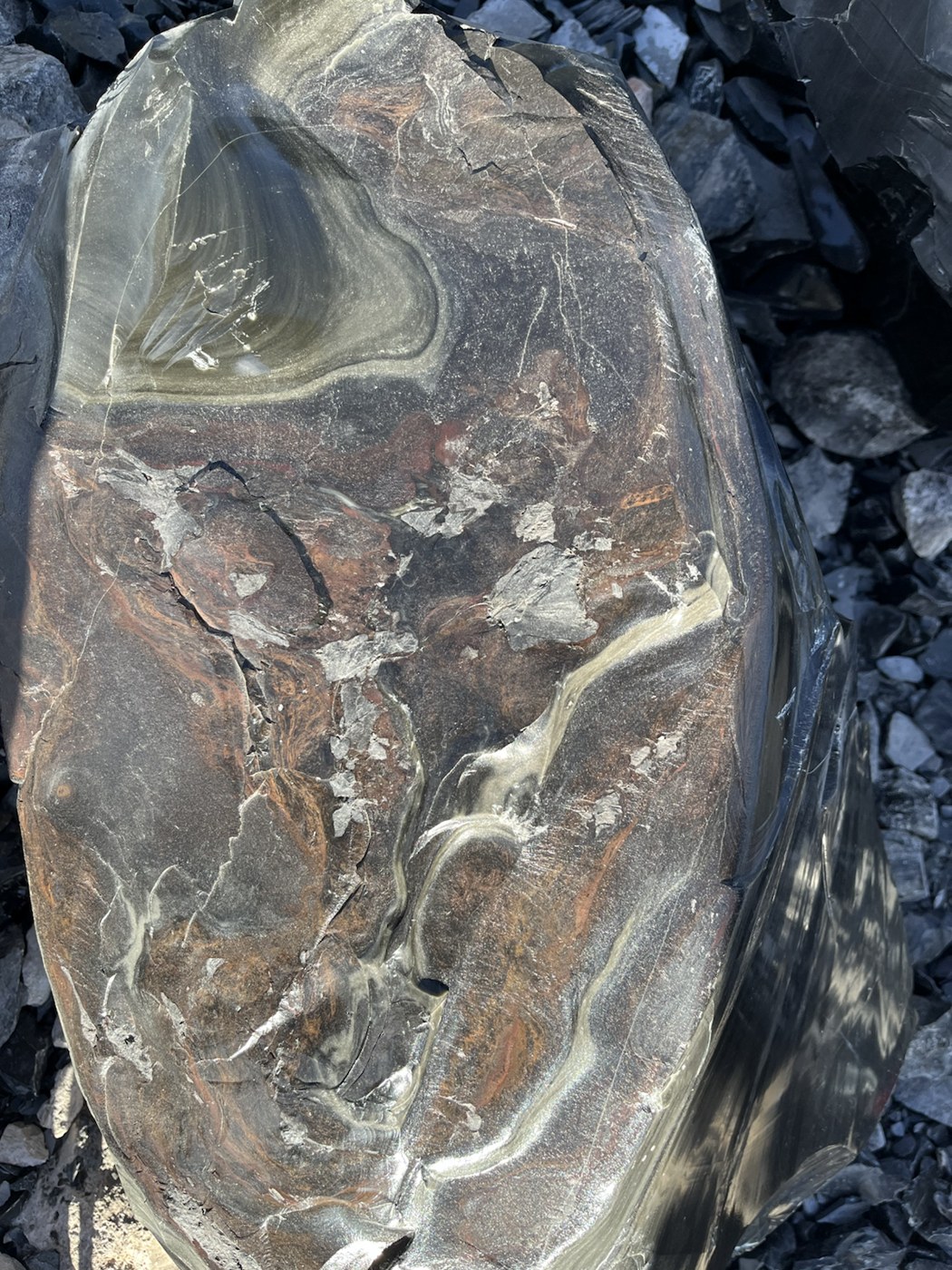Close-up of volcanic glass from the field trip